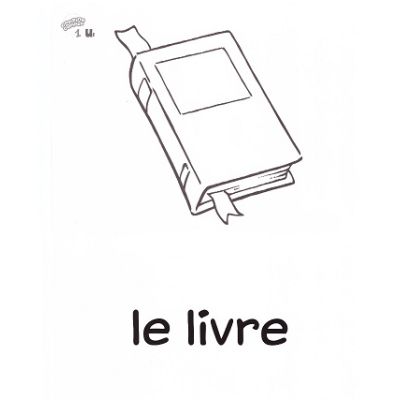 Curs limba Franceza Nouveau Copains, copines cartes 1+2