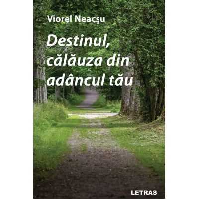 Destinul, calauza din adancul tau - Viorel Neacsu