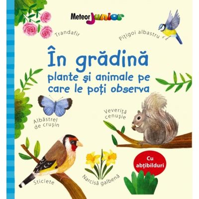 In gradina - plante si animale pe care le poti observa - Kate Nolan