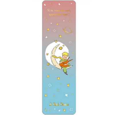 Semn de carte The Little Prince and the Earth, Kiub