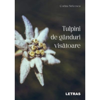 Tulpini de ganduri visatoare - Corina Stricescu