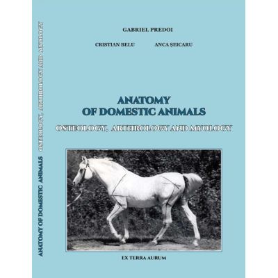 Anatomy of domestic animals. Angiology, Neurology, Endocrine Glands - Gabriel Predoi