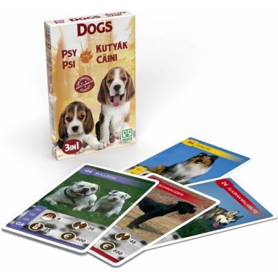 Set 3 jocuri cu carti intr-un singur pachet - Tema Catei