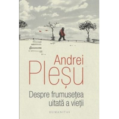 Despre frumusetea uitata a vietii - Andrei Plesu