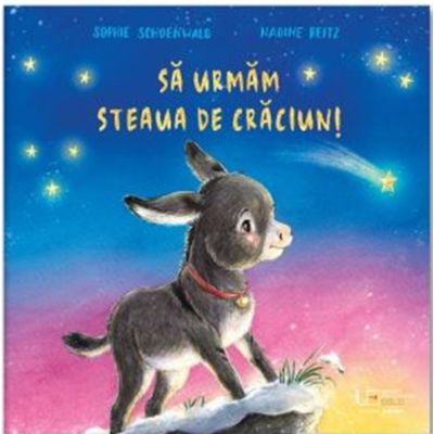 Sa urmam steaua de Craciun - Sophie Schoenwald, Nadine Reitz