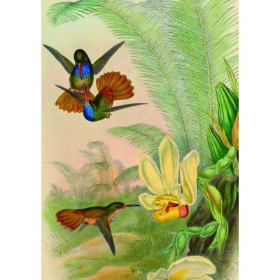 Puzzle 1000 piese + saculet, Colibri, Kiub