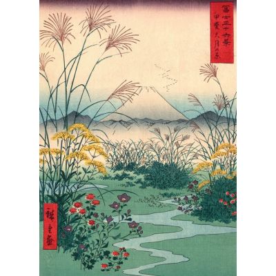 Puzzle 1000 piese + saculet, Fuji, Kiub