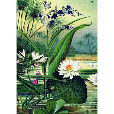 Puzzle 1000 piese + saculet, Nuferi, Kiub