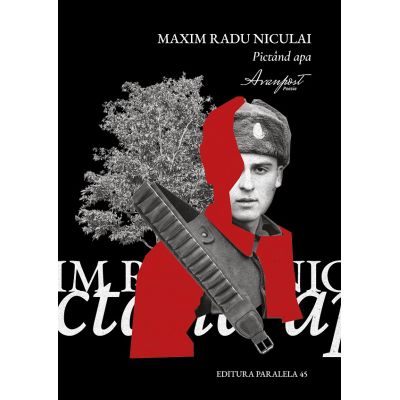Pictand apa - Maxim Radu Niculai