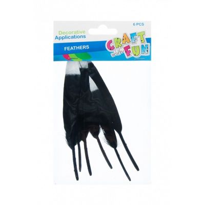 Accesorii creatie - pene, negru, argintiu, 12-15cm, set 6 buc, Craft with Fun, 463663