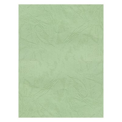 Coperta indosariere A4 CNX, carton imitatie piele, fistic, 230g/mp, top 100 coli