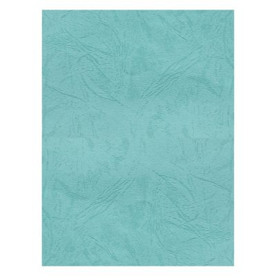 Coperta indosariere A4 CNX, carton imitatie piele, turquoise, 230g/mp, top 100 coli