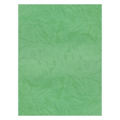 Coperta indosariere A4 CNX, carton imitatie piele, verde, 230g/mp, top 100 coli