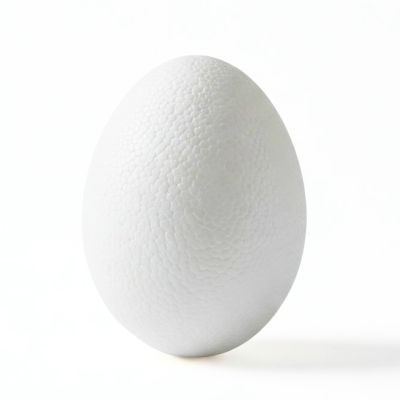 Accesorii creatie - polistiren HD - ou, alb, 7x10cm, Colorarte