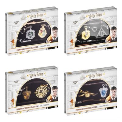 Harry Potter Set brelocuri premium, 6 buc