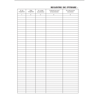Tipizat - registru intrare / iesire - A4, portret, simplu, 100 file, coperta mucava