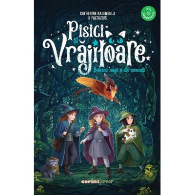 Pisici si vrajitoare. Boacane, magii si alte minunatii - Catherine Kalengula