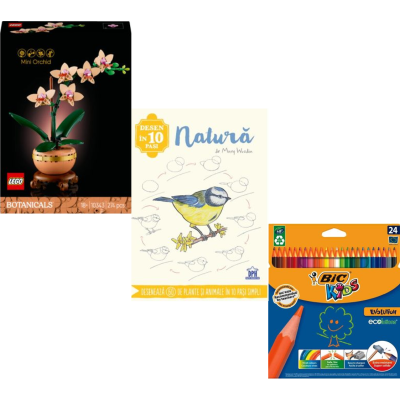 Atelierul artistului naturalist