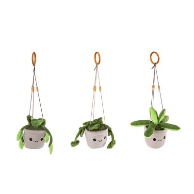 Jucarie de plus, Plante suspendate in ghiveci, 24 cm