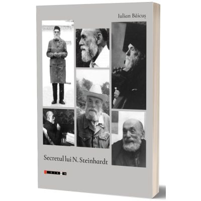 Secretul lui N. Steinhardt - Iulian Baicus