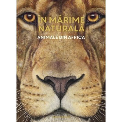 In marime naturala. Animale din Africa. Editie hardcover - Holger Haag