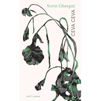 Ceva ceva - Sorin Ghergut