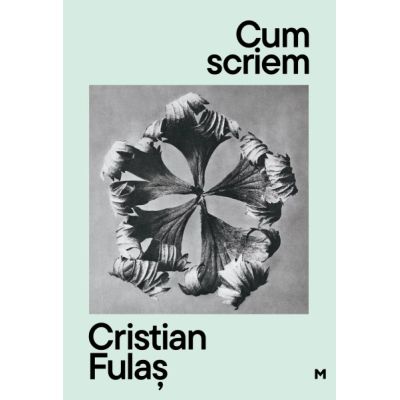 Cum scriem. Editia 2, editie revizuita si adaugita - Cristian Fulas