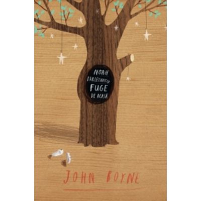 Noah Barleywater fuge de-acasa - John Boyne
