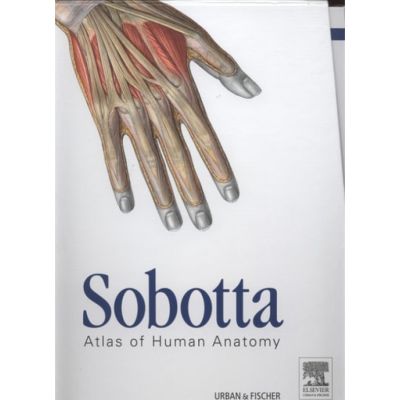 Sobotta Atlas of Human Anatomy, Package, 15th ed., English: Musculoskeletal system, internal organs, head, neck, Neuroanatomy