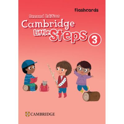Cambridge Little Steps Level 3 Flashcards