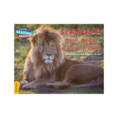 Gold Scarface: The Real Lion King