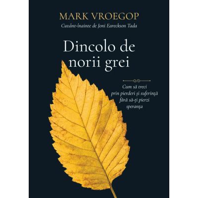 Dincolo de norii grei - Mark Vroegop