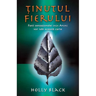 Tinutul fierului
