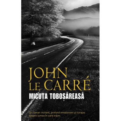 Micuta tobosareasa