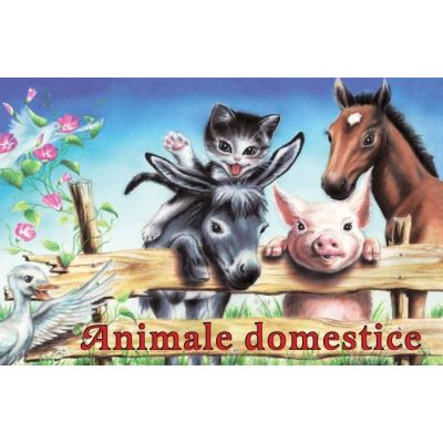 Animale domestice. Pliant cartonat