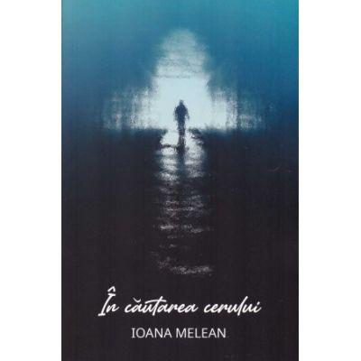 In cautarea Cerului - Ioana Melean